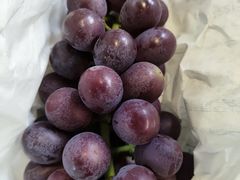 -马陆小张葡萄园农家乐