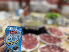 -原野牛肉岛