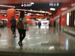 -真北路(地铁站)
