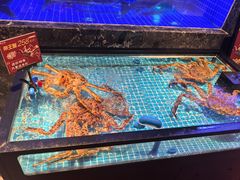 -忆江南·临江鱼馆