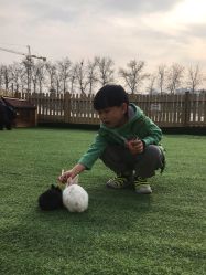 -萌宠亲子动物乐园(槐房万达店)