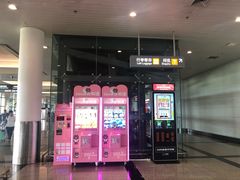 -厦门高崎国际机场-T3航站楼
