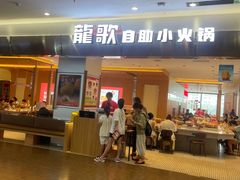 -龍歌自助小火锅(市南金茂湾店)