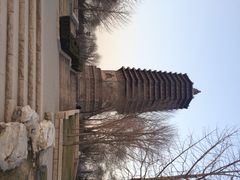 玲珑塔-玲珑塔公园