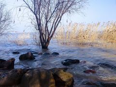 -上海吴淞炮台湾国家湿地公园