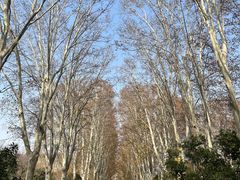 -河南省黄河迎宾馆