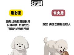 -谐和益家动物医院·免疫绝育·血液透析·宠保定点医院(高新伊藤分院)
