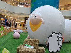 -阳光天地