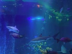 -沈阳海洋探索中心