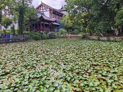 -花溪公园