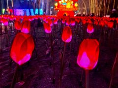 -西宁市人民公园(城西区)