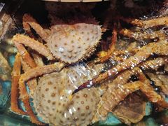 -荔城生鲜盛宴(番禺旗舰店)