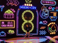 -影汇之星8字形摩天轮