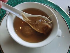 养肝草雪莲籽炖鲍鱼汤-三号黄浦会Canton Table