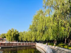 -莲花池公园