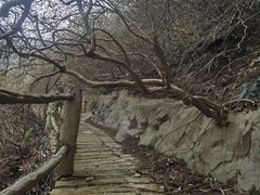 -木兰云雾山