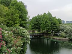 -尚贤河湿地