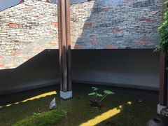 -几荷·恰似故人来(秀水广场店)