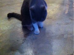 iphone_upload_pic-MIKAKU(万达广场上海宝山店)