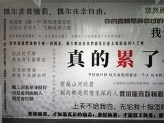 -成都失恋馆