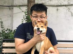 -宠物寄养训练学校