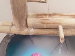 -悦享采耳·洗头头疗·推拿SPA(杭州店)
