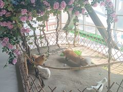 -肃宁华斯国际裘皮城