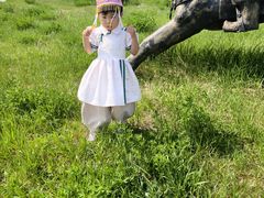 -坝上草原大汗行宫旅游景区