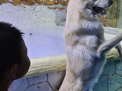 -大连圣亚海洋世界