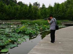 -泰州凤城河风景区-泰山公园