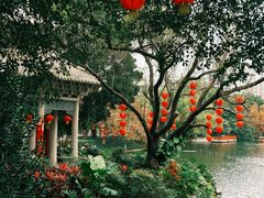 -荔湾湖公园