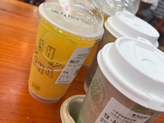 -雾与山茶(大禹城店)