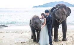 -四叶草环球旅拍