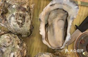 Steamed Oysters in Steam Pot
