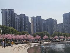 -新江湾城公园