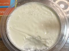 -艾力江和田馕坑烤肉店