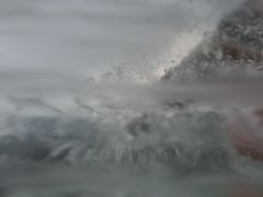 -虹口漂流