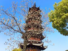 -龙华寺