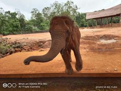 -海南热带野生动植物园