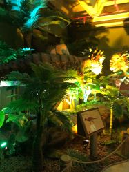 -恐龙探索乐园(磁器口店)