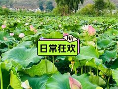 -曼格纳·曼芯馆(杨浦店)