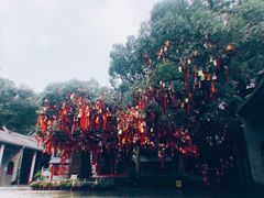 -国恩寺
