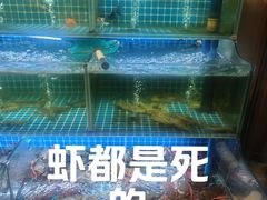 -李记潮汕砂锅粥(营福路店)