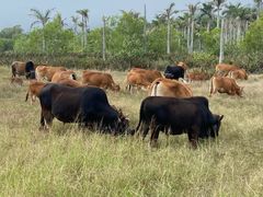 -西涌国际滨海旅游区