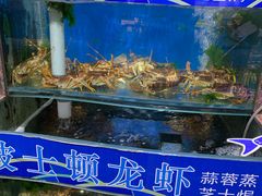 水产区-自助火锅筷乐食代自助餐厅(金辰店)