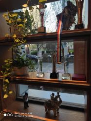 -T.1 hair salon烫染接发