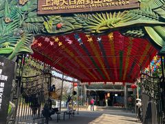 -上海大自然野生昆虫馆(东方明珠·爬宠昆虫探索中心)