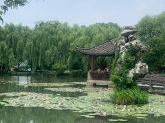 -西湖外事游船(花港观鱼码头)