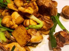 姜葱炒鸡-花城苑广府菜(侨鑫店)