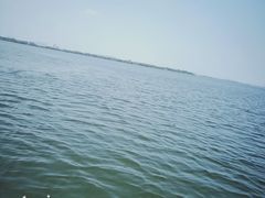 -瑶湖郊野森林公园